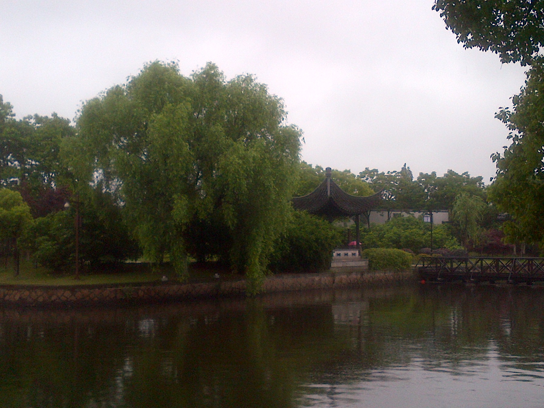 IMG-20130516-00123.jpg