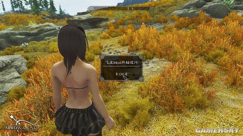 gamersky_01small_02_20121271510156[1].jpg