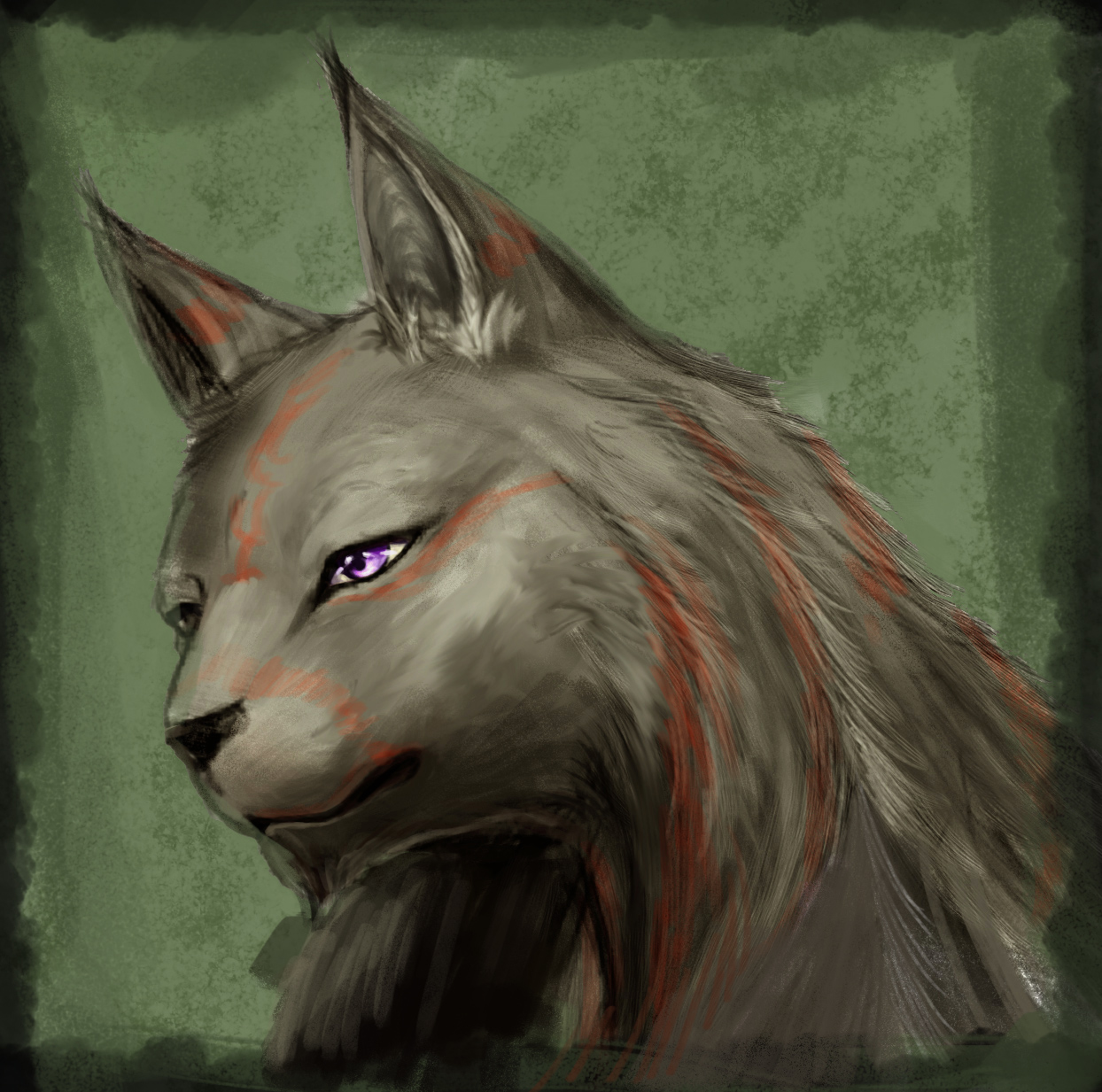 猞猁2.jpg