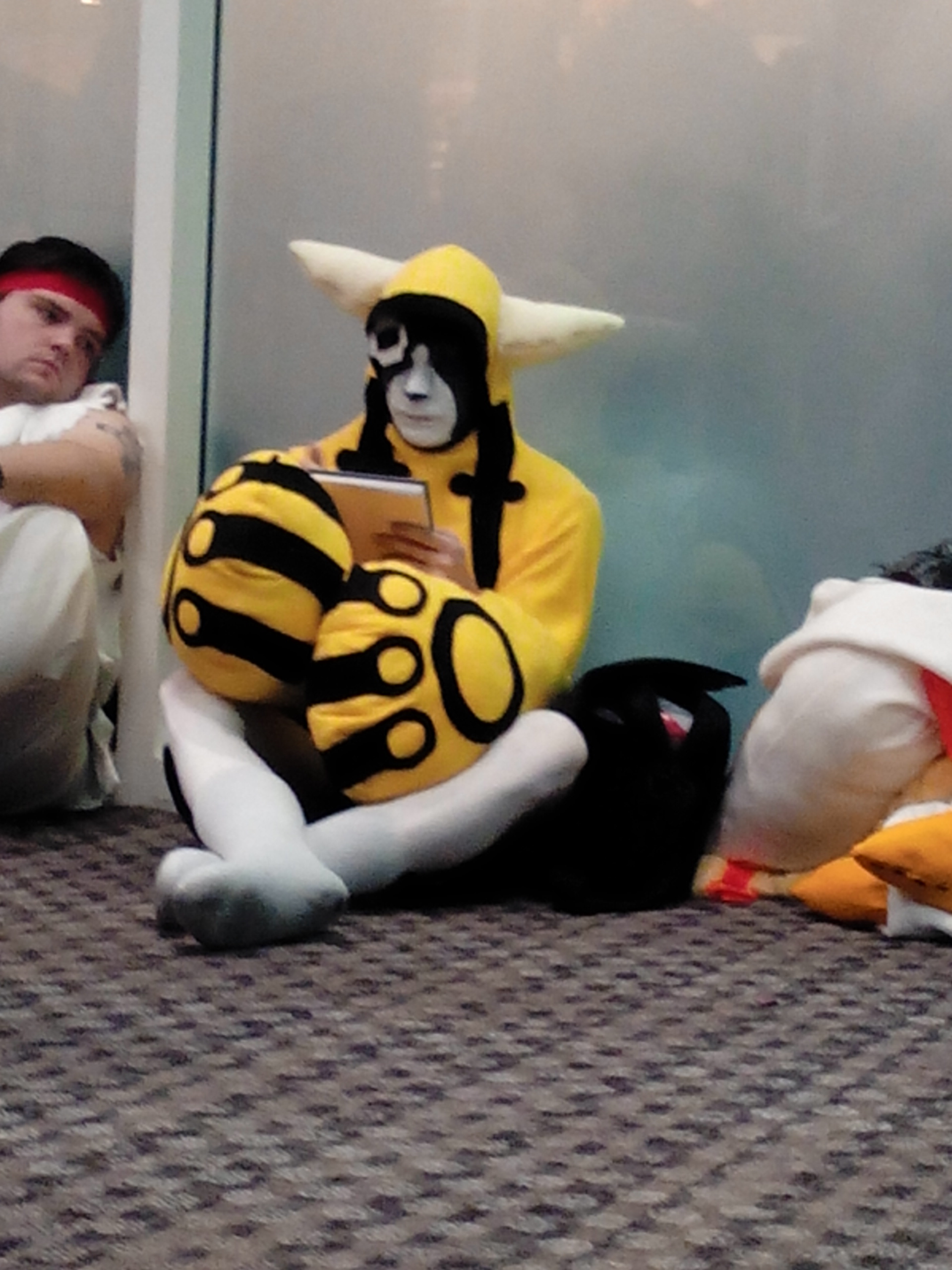 IMG20131026144245.jpg