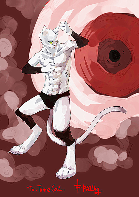 timecat_副本.jpg