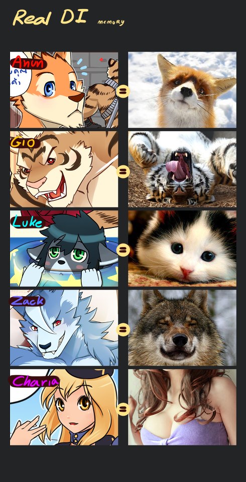 Comparisons.jpg