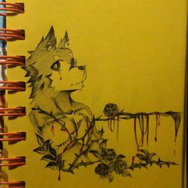 萌新求罩，附带渣画