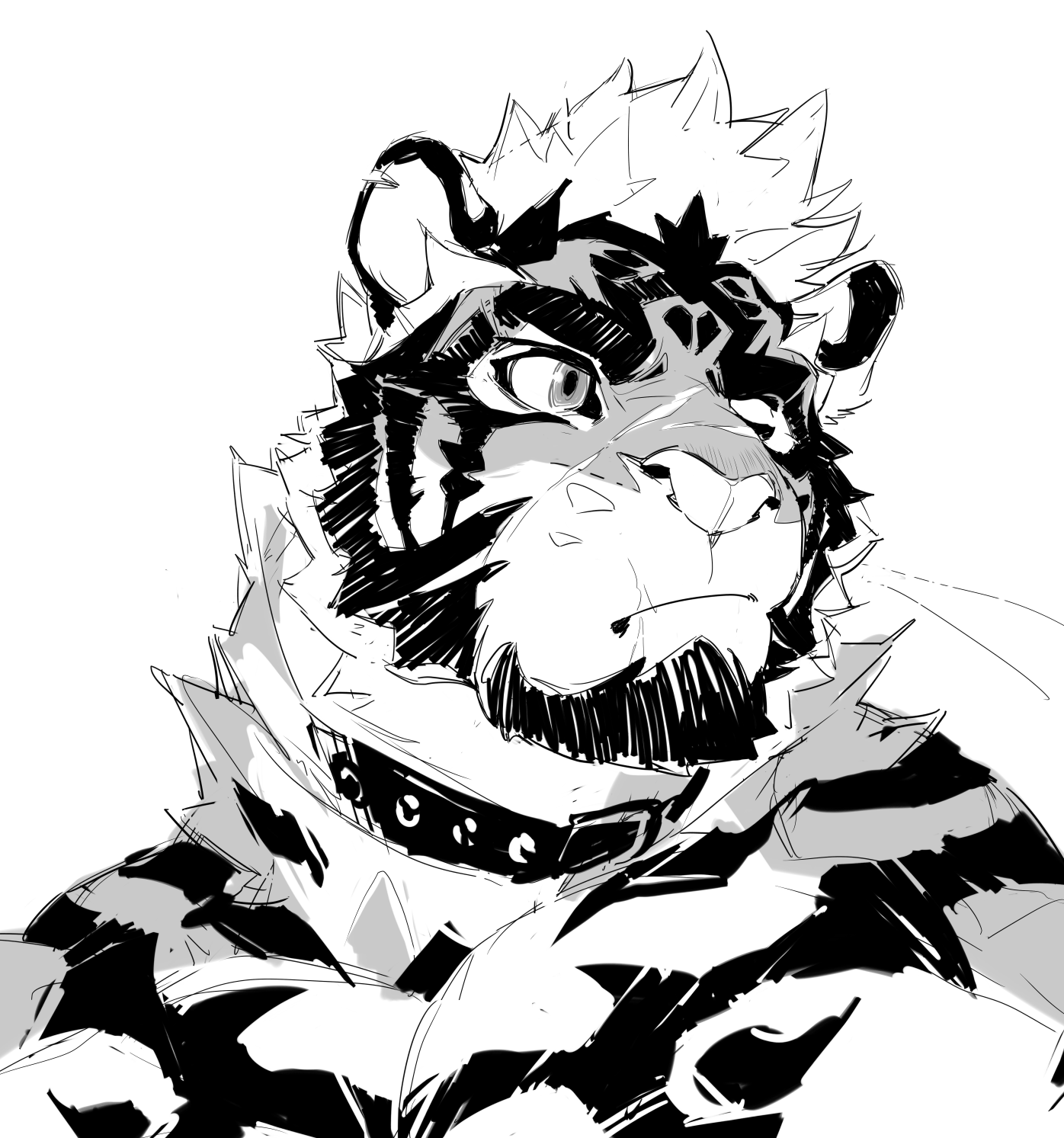 IMG_3229.PNG