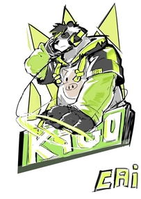 晴猪